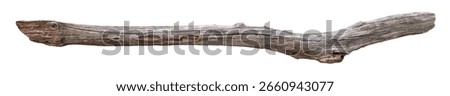 Broken tree branches with detached bark. Rustic wood branch. Weathered driftwood log isolated. Willow log isolate