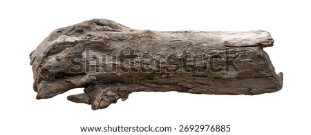 Broken tree branches with detached bark. Rustic wood branch. Weathered driftwood log isolated