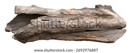 Broken tree branches with detached bark. Rustic wood branch. Weathered driftwood log isolated
