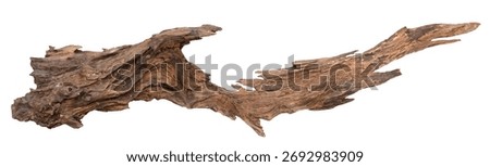  Broken tree branches with detached bark. Rustic wood branch. Weathered driftwood log. Driftwood isolated on white background