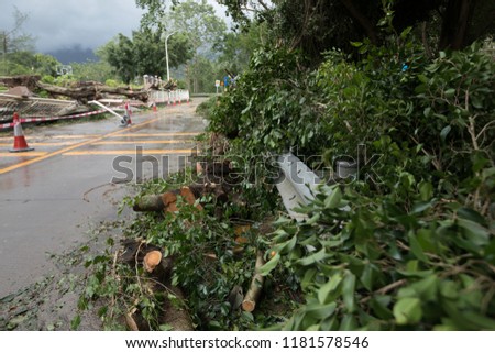 Broken tree fall down block the road,damages after super typhoon Mangkhut in China - 16 Sep 2018