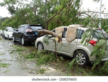 Broken Tree Fallen On Top Of Parking Car,damaged Car After Super Typhoon Mangkhut In China