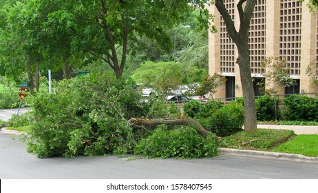 A Broken Tree Limb Blocking Part Of A Street