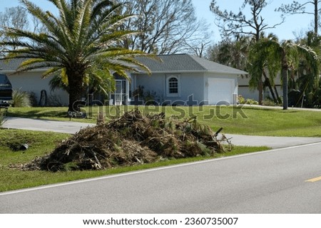 Broken tree limbs and branches on roadside from hurricane wind in Florida residential area. Aftermath of natural disaster