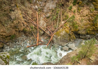 broken tree trunks on the mountainside near the rapids of a mountain river, streams of clean river water flow in early spring
