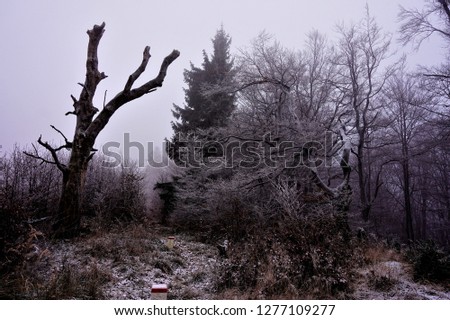 Similar – Image, Stock Photo ice monster Environment
