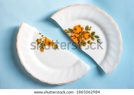 Broken in two halves a plate with a pattern in flowers on a blue background
