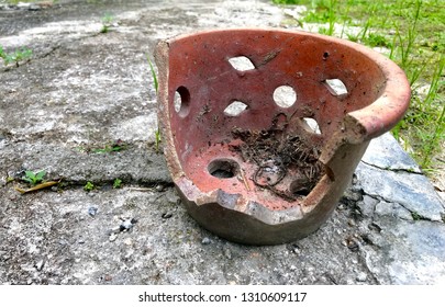 Broken Vase On Cement Floor Ground