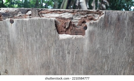 A Broken Wall From Wood Because Termite