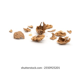 Broken walnut shells and kernels scattered on white background.