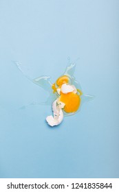 73,331 Broken egg Stock Photos, Images & Photography | Shutterstock