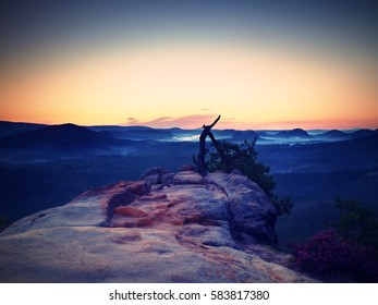 Broken Wilde Pine Bonsai Tree On Rocky Cliff. Sun At Horizon, Autumn Mist In Landscape Bellow. Magnificent Nature. Vivid Photo Style