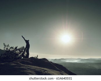 Broken Wilde Pine Bonsai Tree On Rocky Cliff. Sun At Horizon, Autumn Mist In Landscape Bellow. Magnificent Nature. Vivid Photo Style