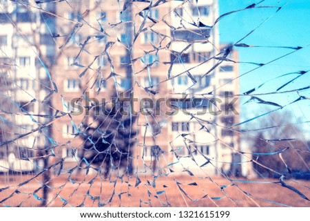 Jungsfoto Fensterscheibe