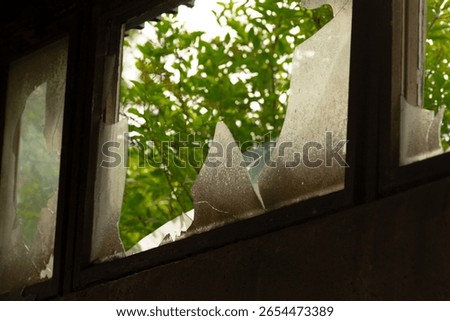 A broken window can be seen prominently, with a tree situated gracefully in the background, enhancing the scenery