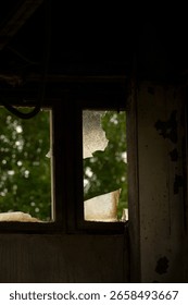 A broken window exists within a dark room that is complemented by the silhouette of a tree in the background, adding depth to the scene