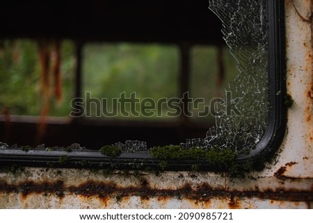 broken window of an old rusty school bus covered in moss, wet after rain