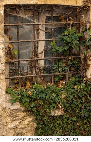 broken window in a wall with spiderweb