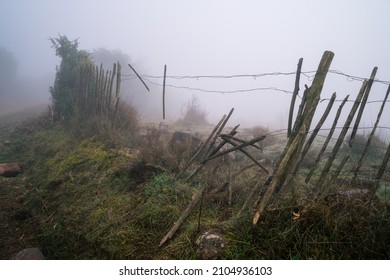 Broken Wood Fence In Meadow In Fog