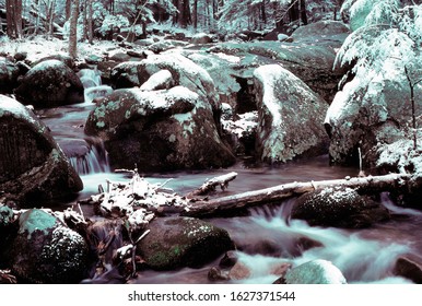 Brokenback Run In Winter, Shenandoah National Park, Virginia, USA