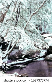 Brokenback Run In Winter, Shenandoah National Park, Virginia, USA