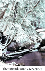 Brokenback Run In Winter, Shenandoah National Park, Virginia, USA