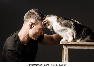 Bromance, Friendship, Man And Cat, Touched Their Foreheads