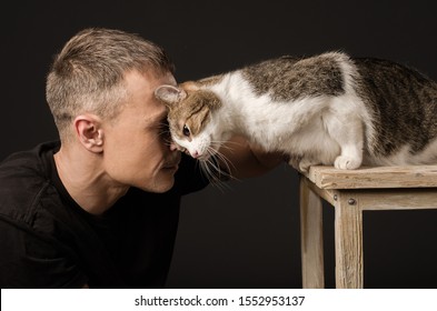 Bromance, Friendship, Man And Cat, Touched Their Foreheads