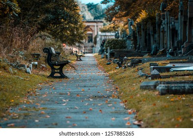 Brompton Cemetery In Autumn