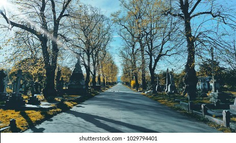 Brompton Cemetery In London