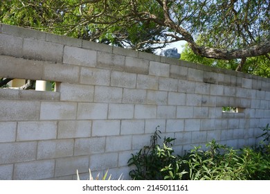 a brontosaurus peers over the wall around its garden