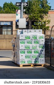 Bronx, NY USA August 19, 2022. Catholic Charities Held A Popup Food Pantry For Members Of The Community At St. Benedict's Church In The Bronx.  