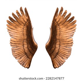 Bronze wings on a transparent background. isolated object. Element for design