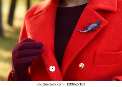 brooch in coat