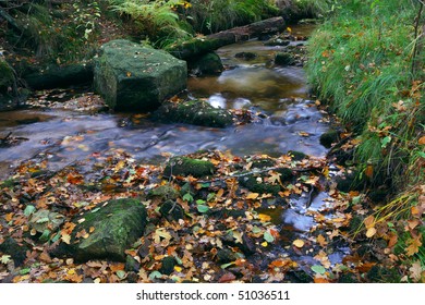 Brook