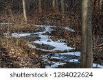 brook during winter