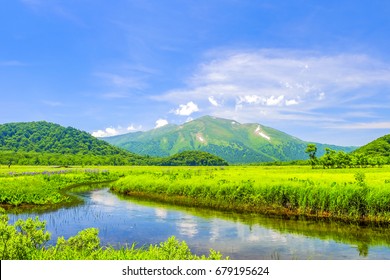 A Brook And A Fresh Green Mountain 