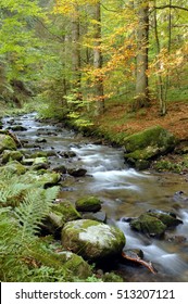 Brook In Germany