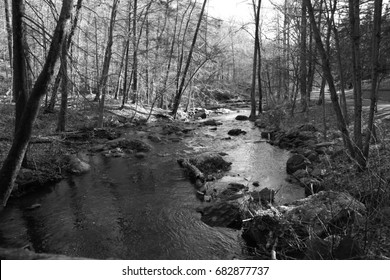 Brook At Sleepy Hollow Cemetery