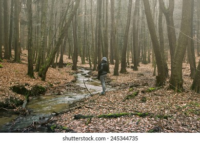 Brook Trout in Forest