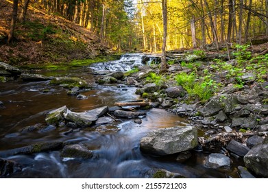 A brook and waterfall in Vaughan Woods. 