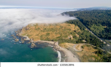 Brookings Coast, Oregon Morning 