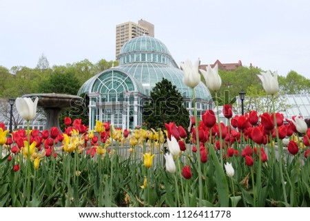 Brooklyn Botanic Garden conservatory and plant in New York City, U.S.A