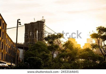 Brooklyn Bridge in the sunset with trees in the foreground.  