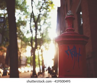 Brooklyn Heights Street In Sunset