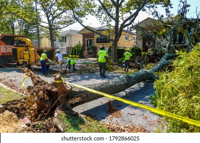 BROOKLYN, NEW YORK - AUGUST 9, 2020: New York City Parks Crew Works To Remove A Fallen Tree And Clears Street The Aftermath Of Severe Weather As Tropical Storm Isaias Hits New York City 