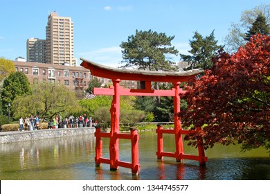 Brooklyn, NY - April 22 2016: The Japanese Hill And Pond Garden At Brooklyn Botanic Garden During The Cherry Blossom Festival