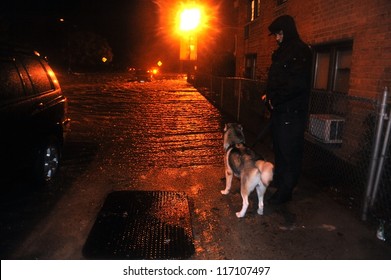 BROOKLYN, NY - OCTOBER 29:  Unknown Man With Dog Watching Flooded Street, Caused By Hurricane Sandy, Are Seen On October 29, 2012 In The Corner Of Brigham Street And  Emmons Avenue Of Brooklyn NY, US