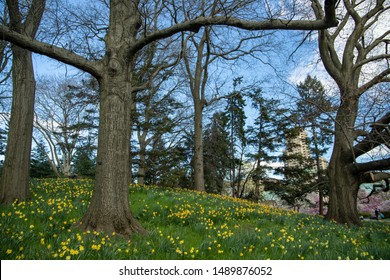 Spring Brooklyn Stock Photos Images Photography Shutterstock