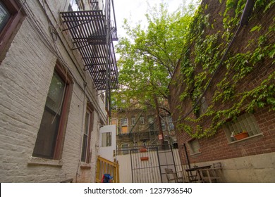 Brooklyn Street Photography